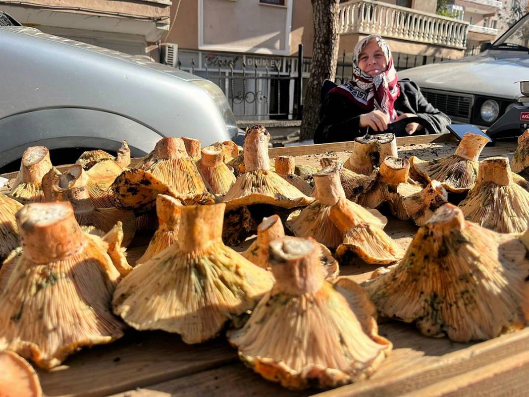 Dağlardan bereket fışkırdı, köylünün yüzü güldü! Kilosu 100 TL'ye kadar düştü 30